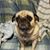 Jacqueline Webster's profile image