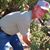 Bruce Marburger's profile image