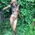 Liana Dagmar's profile image