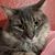 Mimi Meyer's profile image