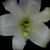 Karen Williams's profile image