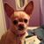 Clarice Schmidt's profile image
