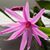 Sarah Thompson's profile image