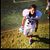 Jose Alejandro Alvarez S's profile image