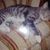 Anne Brockwell's profile image