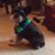 Penny Propper Nielsen's profile image