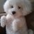 Jeanette Gremel's profile image