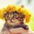 Diane Gomez's profile image