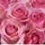 Maria Hernandez's profile image
