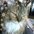 Margaret Serafin's profile image