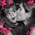 Denise Diniz's profile image