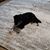 Patti Seagle's profile image