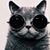 Jun Mock's profile image