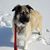 Chrystal Walter's profile image