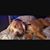 Kelli Cik's profile image