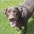 Christy Jones's profile image
