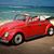 Mindi Matsen Walker's profile image