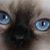 Reba Hunt's profile image