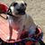 Cindy Fendley's profile image