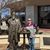 Ericka Mayes's profile image