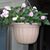 Earlene Saley-Walker's profile image