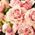 Sheila Arkee's profile image