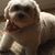 Wenda Maclaren Quilter's profile image