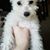 Tammy DeVlaeminck's profile image