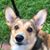Monica Wittstock's profile image