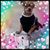 Judy Beaver Cutsinger's profile image