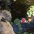 Kathy Mcleod Frost's profile image