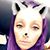 Kristen Chappell's profile image