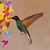 Patricia Holden Stanton's profile image