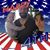 Tom Bishop's profile image
