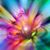 Marci Hall's profile image