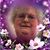 Eva Wilson's profile image
