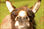 Sunshine W.'s profile image