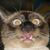 Sheila Sullivan's profile image