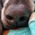 Kelli Shew's profile image