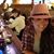 Maggie Sinak Harker's profile image