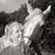 Judith Love's profile image