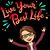 Debbie Lacey Sechrist's profile image