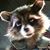 Michael Gaughan's profile image