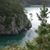 Rosemarie Gagnon's profile image
