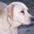 Dallas Dunlap's profile image