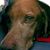 Kim Bray Miller's profile image