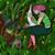 Paula Horn's profile image