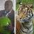 Mark Bell's profile image
