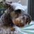 Richard Darby's profile image