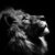 Korey Peart's profile image